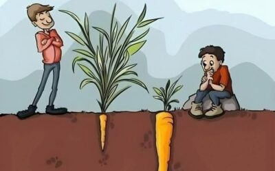LA PRIMERA APARIENCIA ENGAÑA A MUCHOS