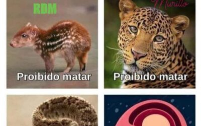 SEAMOS MAYORDOMOS Y BUENOS ADMINISTRADORES DEL MEDIO AMBIENTE