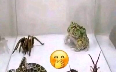 ¿AMIGAS SON LAS AMIGAS?