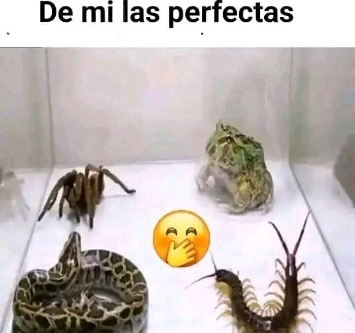 ¿AMIGAS SON LAS AMIGAS?