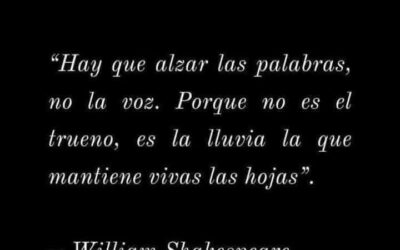 NO ES EL RUIDO