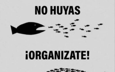 NO HUYAS, ¡HAY QUE ORGANIZARSE!