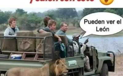 UNO TRATANDO DE MADURAR. . .