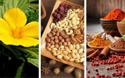 ANTIDEPRESIVOS NATURALES PARA CUIDAR TU BIENESTAR EMOCIONAL