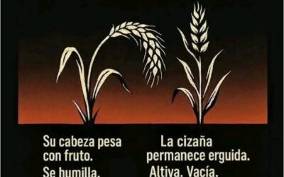 EL TRIGO Y LA CIZAÑA