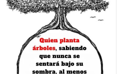 QUIEN PLANTA UN ÁRBOL