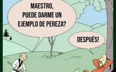 EJEMPLO DE PEREZA