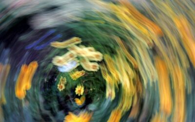 Ideología de género, menores y tratamientos irreversibles: cuando el sentimiento suplanta a la realidad