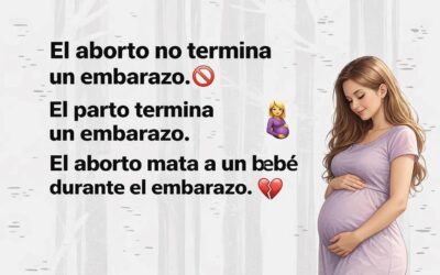 El aborto mata a un bebé