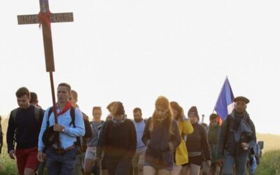 Muchos jóvenes católicos quieren claridad doctrinal, no progresismo, dice un obispo irlandés