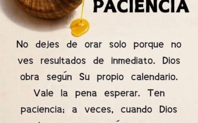 Paciencia: la virtud