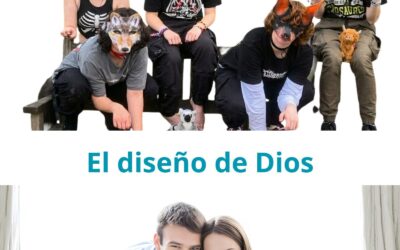 El diseño de Dios