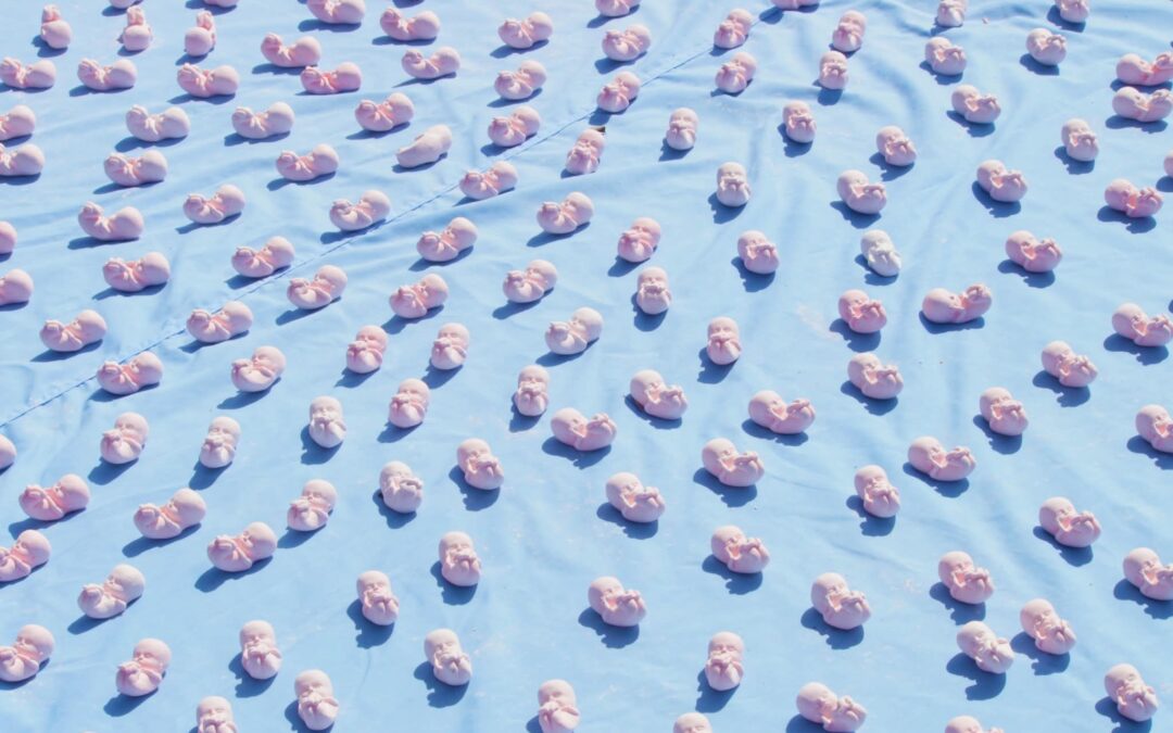 A 14 años por el fallo por el caso F.A.L.