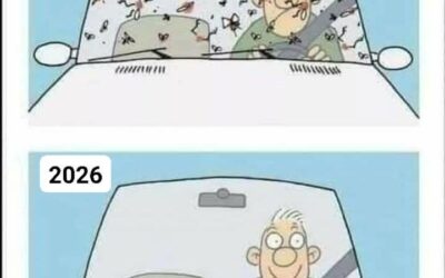 «Algo está sucediendo»