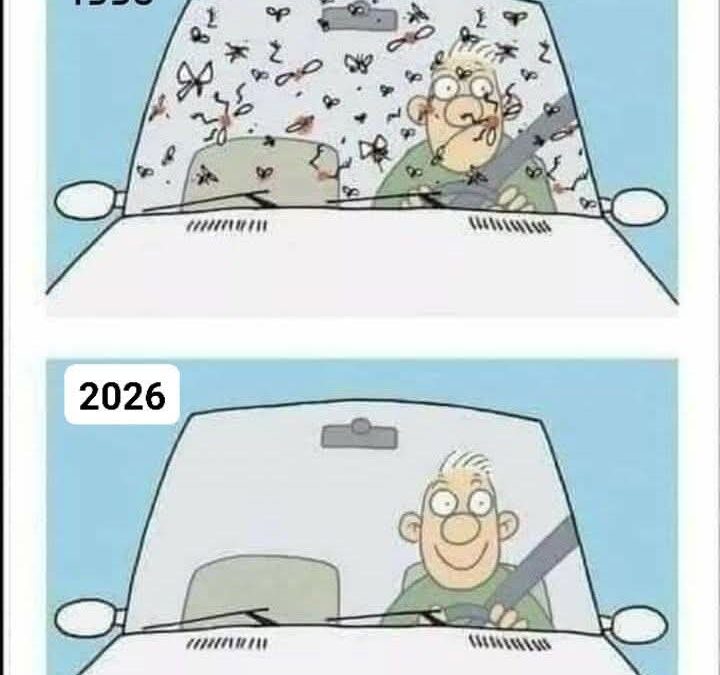 «Algo está sucediendo»