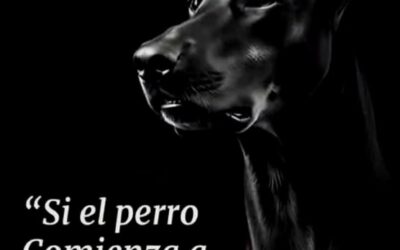 «Si el perro comienza a ladrarte»