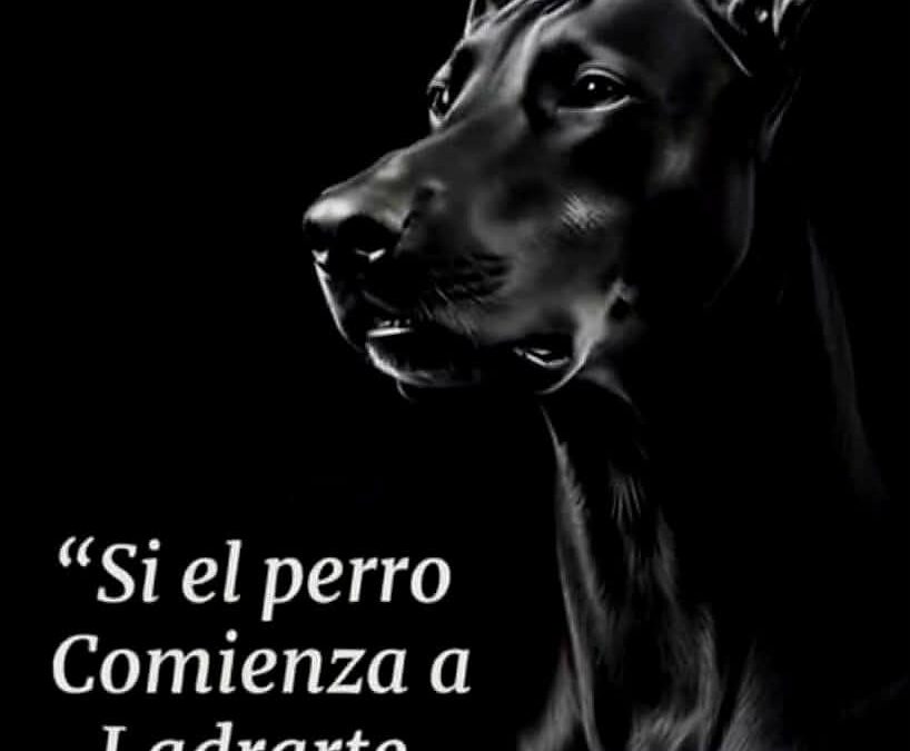 «Si el perro comienza a ladrarte»