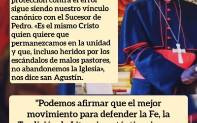 «Antes de que sea demasiado tarde»