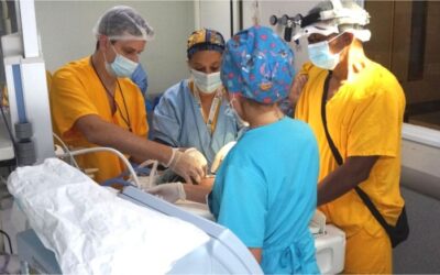 Cirugías del tamaño de una nuez: intervenir corazones y órganos en bebés prematuros