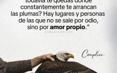 Sabio testimonio
