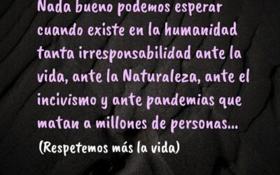 Nada bueno se puede esperar. . .