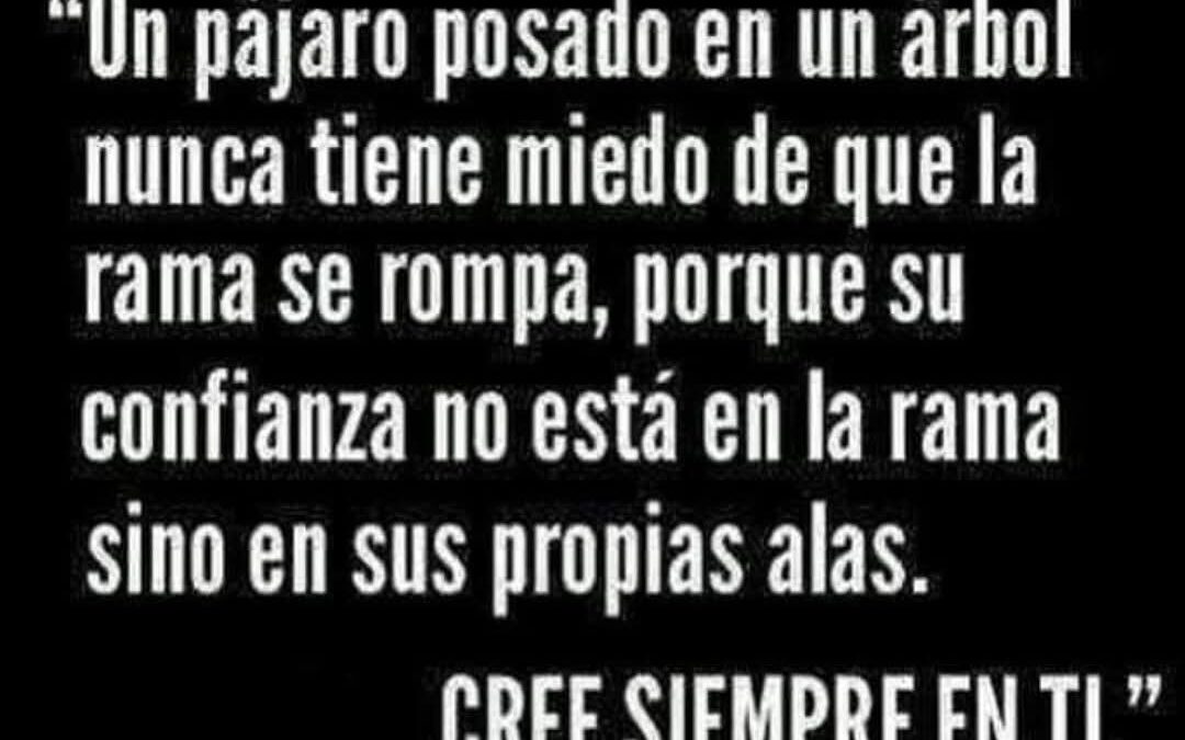 Un pájaro posado. . .cree siempre en ti.