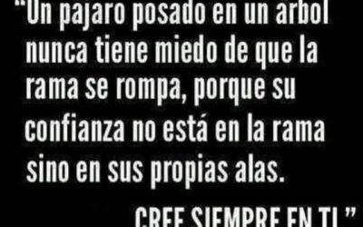 Un pájaro posado. . .cree siempre en ti.