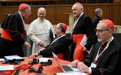 Consistorio de junio: ¿para qué se reunirán los cardenales?
