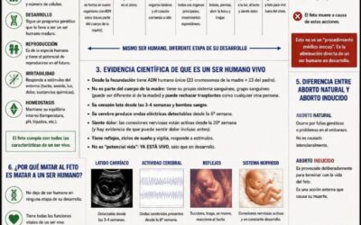 ¿Porqué el feto es un ser vivo en desarrollo y su interrupción implica matar a un ser vivo?