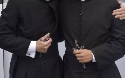 El populismo eclesiástico: una nueva forma de clericalismo