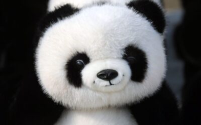 La cruz en la frente de un oso panda